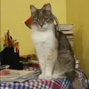 Отзыв от Вера Булгакова